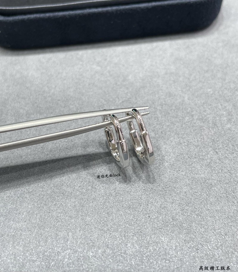 T*f*ny earrings